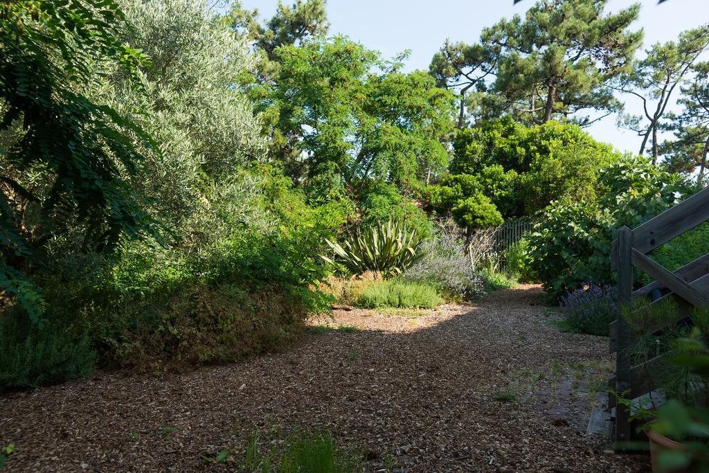 Le Lodge Du Cap Ferret Lege-Cap-Ferret Luaran gambar