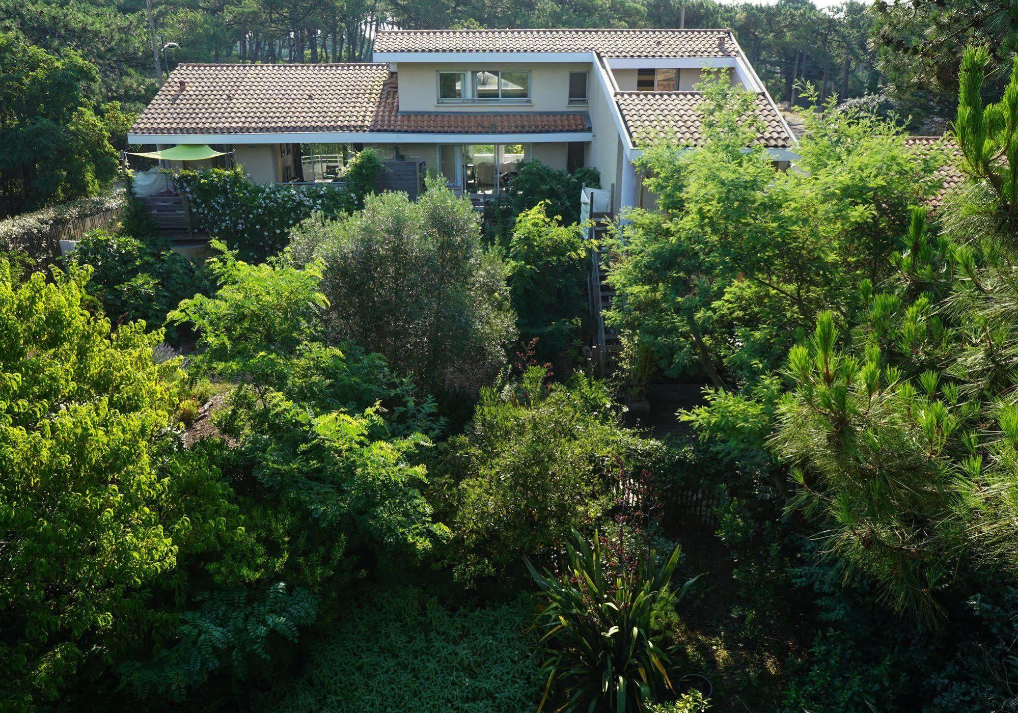 Le Lodge Du Cap Ferret Lege-Cap-Ferret Luaran gambar